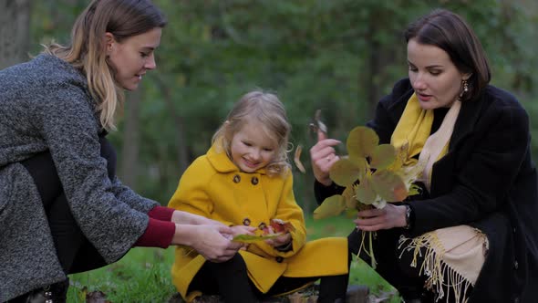 Two Charming Young Women and Cute Little Girl Collect a Bouquet of Beautiful Autumn Leaves on Lawn