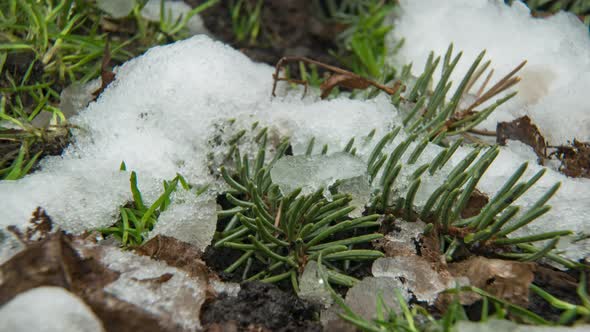 Macro Timelapse Shot of Shiny Melting Snow Particles Turning Into Liquid Water and Unveiling Green