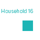Household 16