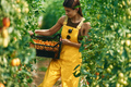 Young woman in yellow uniform is in garden with vegetables - PhotoDune Item for Sale