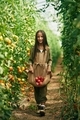 With bunch of tomatoes. Little girl is in the garden - PhotoDune Item for Sale