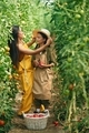 Mother and daughter. Woman and girl are in the garden with tomatoes together - PhotoDune Item for Sale