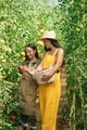 With basket in hands. Woman and girl are in the garden with tomatoes together - PhotoDune Item for Sale