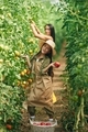 Helping mother. Woman and girl are in the garden with tomatoes together - PhotoDune Item for Sale
