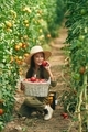 Positive little girl is in the garden with tomatoes - PhotoDune Item for Sale