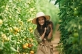 Holding cute kitten in hands. Little girl is in the garden with tomatoes - PhotoDune Item for Sale
