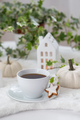 Cup of tea with home made cookies, decorative houses and pumpkins - PhotoDune Item for Sale