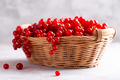 Ripe red currants - PhotoDune Item for Sale