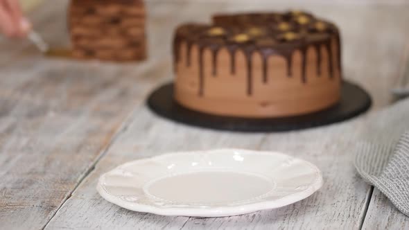 Piece of layer chocolate cake with prunes and rum.	