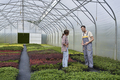 Two caucasian botanists standing in the greenhouse and discussing - PhotoDune Item for Sale