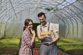Two caucasian botanists standing in the greenhouse and using digital tablet - PhotoDune Item for Sale