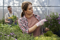 Two caucasian botanists working in greenhouse over flowers - PhotoDune Item for Sale