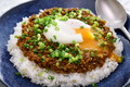 Japanese keema curry over rice - PhotoDune Item for Sale