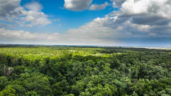 Hyperlapse Aerial View Over Green Forest with Moving Clouds in Blue Sky