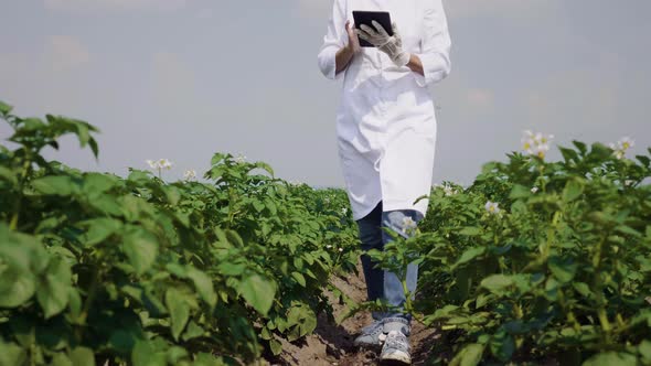 Female agronomist with tablet computer