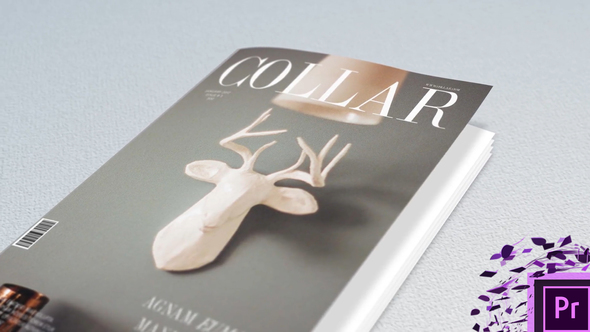 Magazine and Book Promo