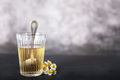 Chamomile in studio - PhotoDune Item for Sale