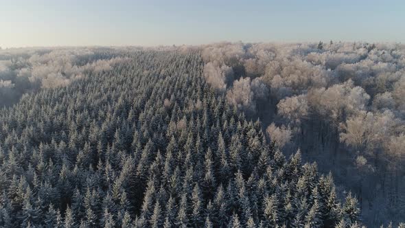 Winter Landscape in Countryside