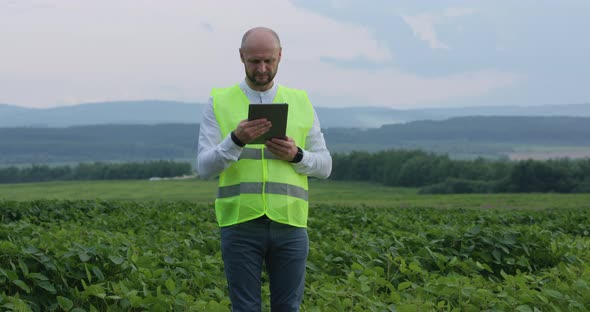 Professional Young Agronomist Uses Digital Technology To Improve Yields