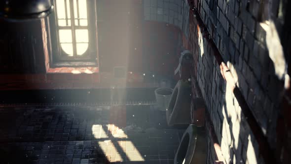 Abantoned Old Public Toilet with Bright Lights alt