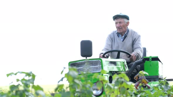 An Elderly Farmer Sits in a Small Tractor on the Field