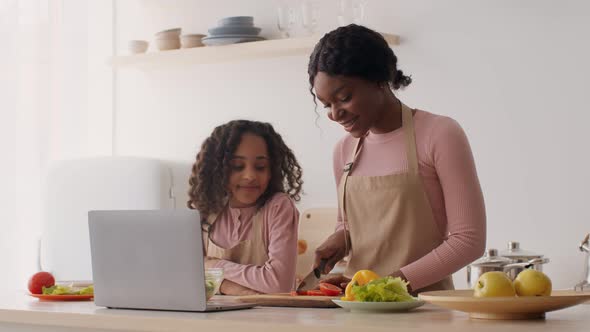 Happy African American Woman Cutting Vegetables at Kitchen with Little Daughter Streaming Process