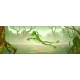Cartoon Frog Background - GraphicRiver Item for Sale