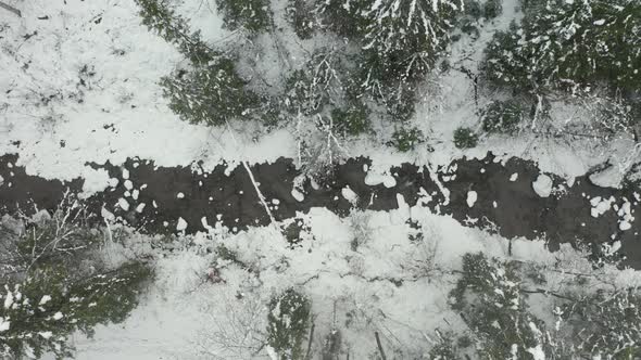 Top down aerial of small creek running through forest in winter