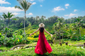 Young female tourist in red dress looking at the beautiful tegalalang rice terrace in Bali - PhotoDune Item for Sale