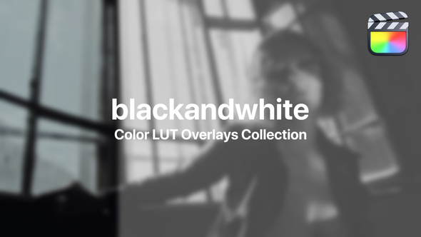 Black&White Color Presets for Final Cut Pro Vol. 01 alt