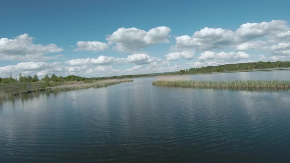 Fast and Agile Flight Over the Lake with a Pair of White Swans