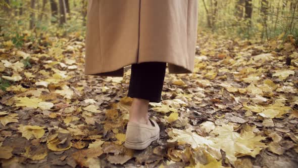 Legs of Woman Walking in Autumn Park