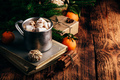 Hot chocolate with marshmallows and gingerbread - PhotoDune Item for Sale