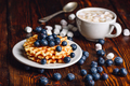 Waffles with Blueberry and Hot Chocolate. - PhotoDune Item for Sale