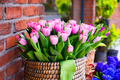  purple tulips in a box against a wall  - PhotoDune Item for Sale