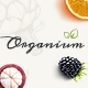 Organium | Healthy & Organic Food Woocommerce Theme - ThemeForest Item for Sale