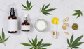 Cosmetic bottles, jar, pipette with CBD oil, capsules and tea near green cannabis leaves. Mockup - PhotoDune Item for Sale