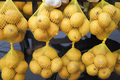 Lemon selling in supermarkets in istanbul  - PhotoDune Item for Sale