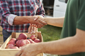 Handshake of unrecognizable orchard senior farmer and sales representative - PhotoDune Item for Sale