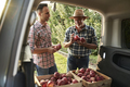 Two orchard farmers standing next to a car with boxes full of apples - PhotoDune Item for Sale