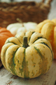 Different types of mini pumpkins color background  - PhotoDune Item for Sale