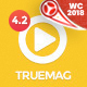 True Mag - WordPress Theme for Video and Magazine - ThemeForest Item for Sale