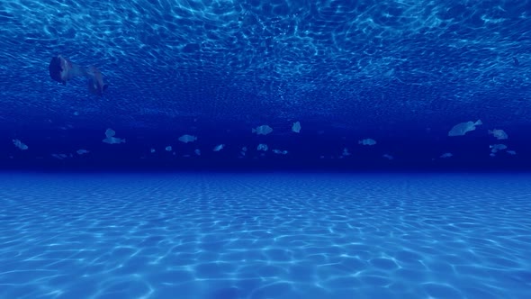 Clear Blue Underwater Swimming Fish alt