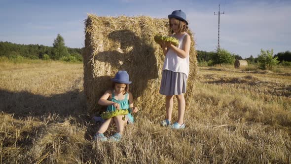 Two Charming Girls Are Eating Sunflower Seeds on Mown Rye in the Field