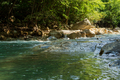 Mountain river green forest. - PhotoDune Item for Sale
