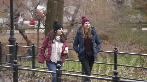 A Walk Through Central Park New York