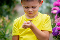 boy holding a butterfly on his hand selective focus - PhotoDune Item for Sale