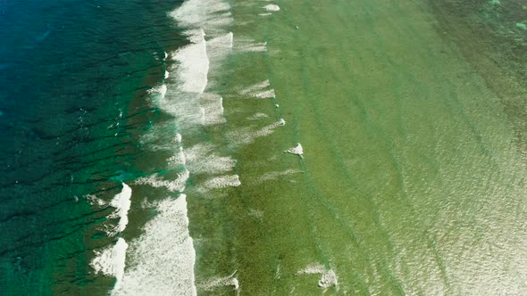 Waves Crashing on a Coral Reef