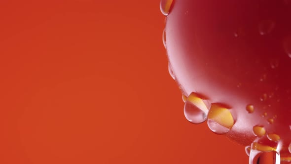 Ripe Tomato in Drops of Water on Red Studio Background