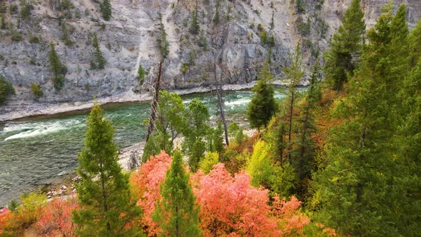 Flying over the Snake River in Wyoming, trees turning their fall colors